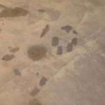 concrete grinding repair